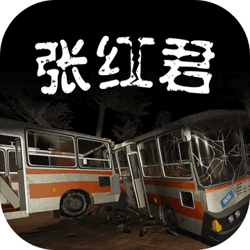 孙美琪疑案张红君官方版