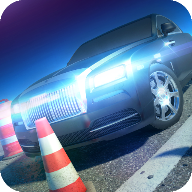 瓦利停车(Valley Parking 3D)