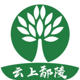 云上鄢陵客户端