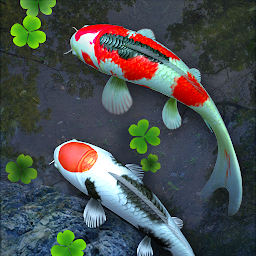 3d鱼池动态壁纸(Water Garden)