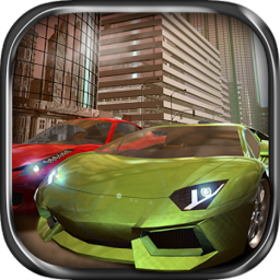 3d真实驾驶模拟手机版(Real Driving 3D)
