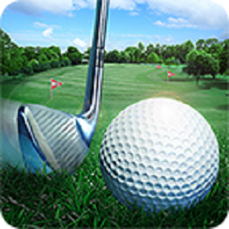 高尔夫大师3D游戏(Golf Master)