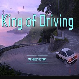 驾驶之王游戏官方最新版(King of Driving)